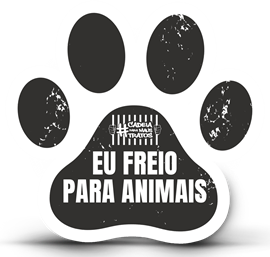 Voluntários e pets na campanha